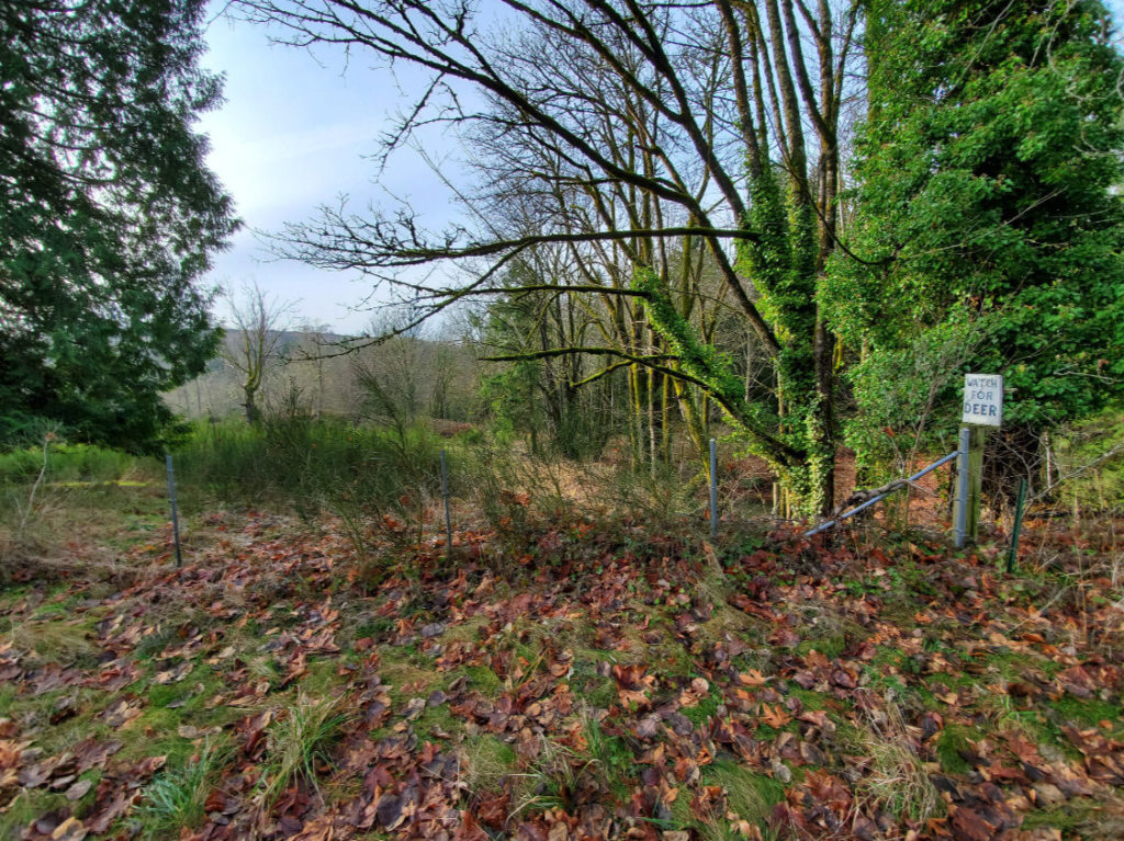 Coal Creek fence