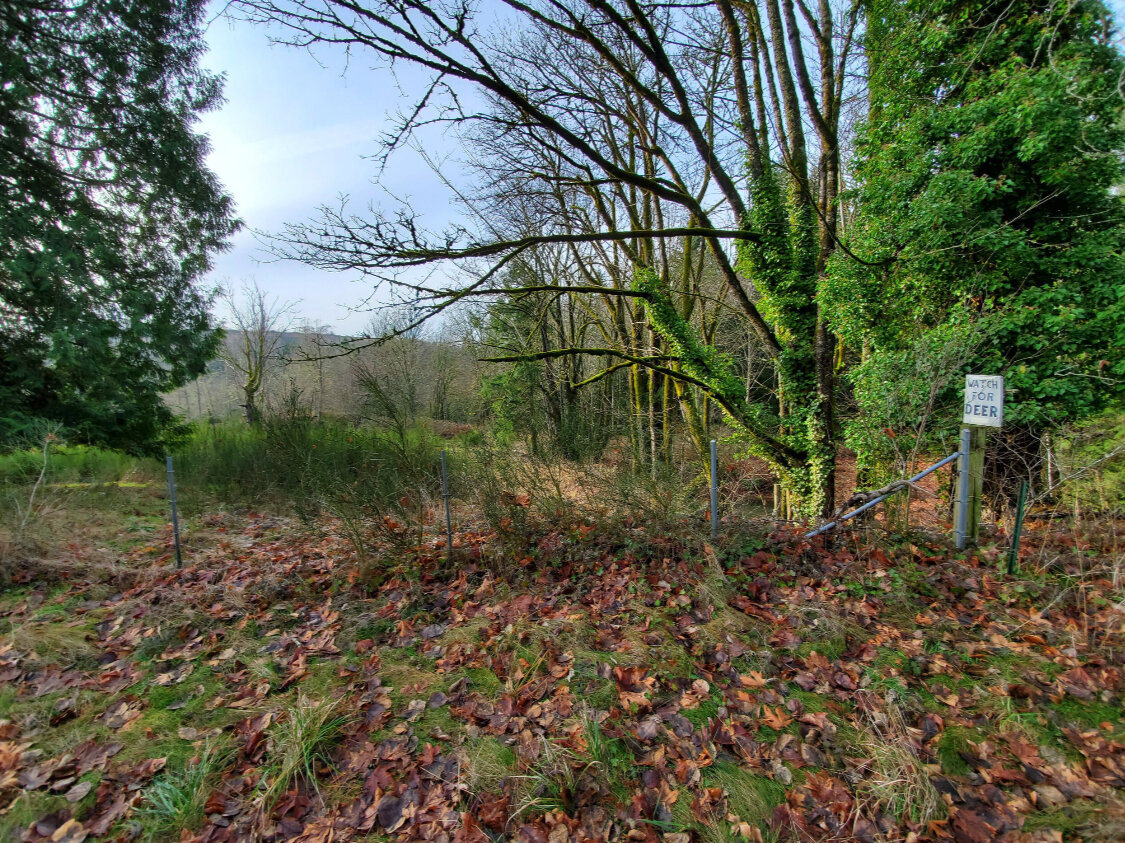 Coal Creek fence